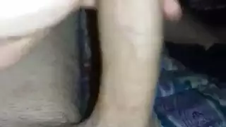 احتفال النكاح في المزرعة: فرس تُدك بواسطة الفحل القائد