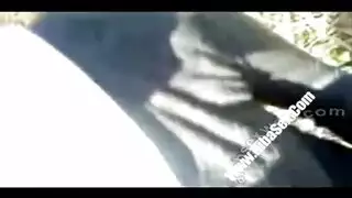 عربي سوري2024