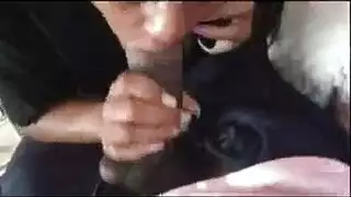 نيك طيز بدينات مصريات