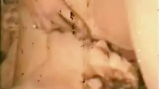 فوضى أنيقة: عاهرات قديمات يأخذن عدة أعضاء ذكرية