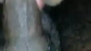 تركيز إباحي: حركة شفار مهبل منتفخة