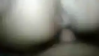 كلام دكر مصري